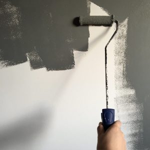 Rolla väggen grå